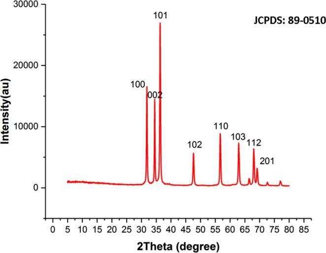 https://cdn.ncbi.nlm.nih.gov/pmc/blobs/6867/6499781/c8a6304897c9/41598_2019_43368_Fig3_HTML.jpg