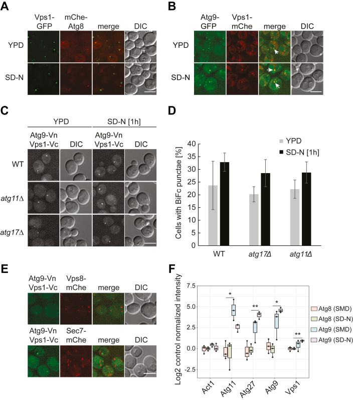 https://cdn.ncbi.nlm.nih.gov/pmc/blobs/6868/10196871/ec597e396c12/gr3.jpg