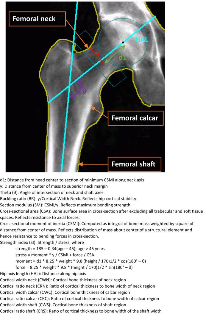 https://cdn.ncbi.nlm.nih.gov/pmc/blobs/6868/10494511/8d18f14227e9/JBM4-7-e10780-g001.jpg