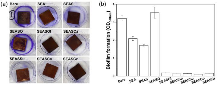 https://cdn.ncbi.nlm.nih.gov/pmc/blobs/686a/10005306/a6d1c5e0a5c8/nanomaterials-13-00807-g005.jpg