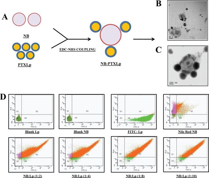 https://cdn.ncbi.nlm.nih.gov/pmc/blobs/686a/6761614/30f820838c63/ao9b01924_0006.jpg