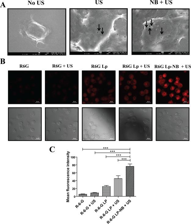 https://cdn.ncbi.nlm.nih.gov/pmc/blobs/686a/6761614/5bad8963eb31/ao9b01924_0003.jpg