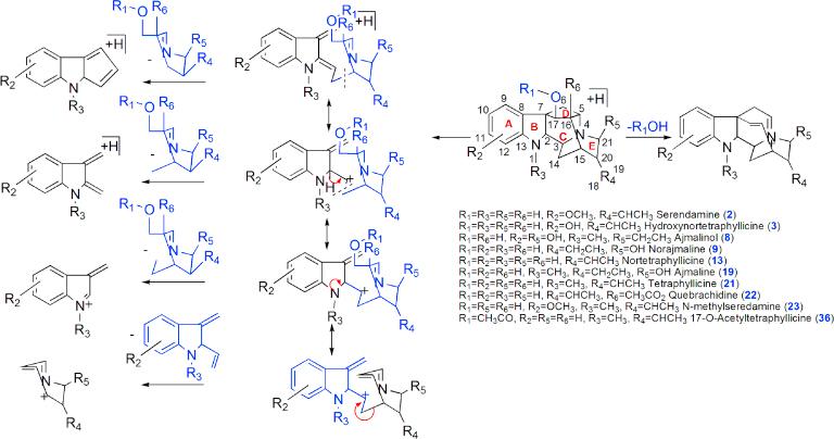 https://cdn.ncbi.nlm.nih.gov/pmc/blobs/686b/5762928/8a66d4b481e3/sc3.jpg