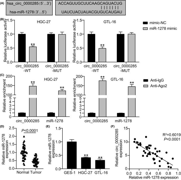 https://cdn.ncbi.nlm.nih.gov/pmc/blobs/686c/9169205/1d8af2ce140c/JCLA-36-e24475-g001.jpg