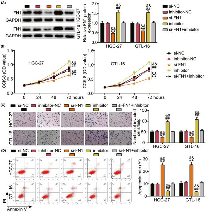 https://cdn.ncbi.nlm.nih.gov/pmc/blobs/686c/9169205/4ae746c3fce6/JCLA-36-e24475-g006.jpg