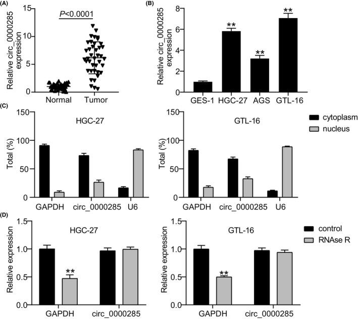 https://cdn.ncbi.nlm.nih.gov/pmc/blobs/686c/9169205/5de42db02c39/JCLA-36-e24475-g002.jpg