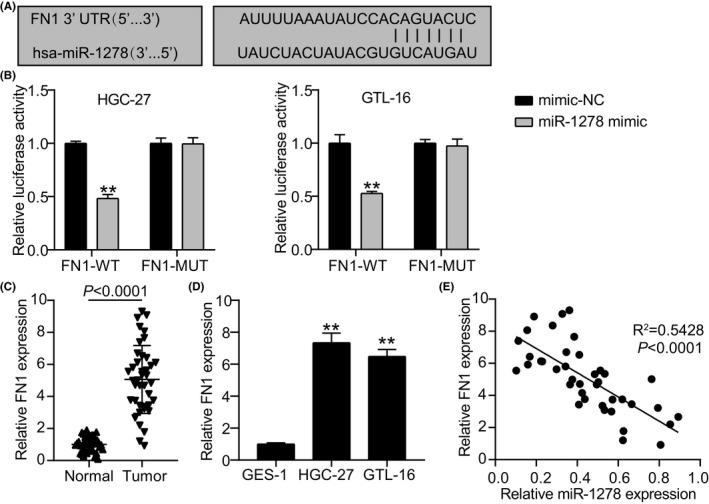 https://cdn.ncbi.nlm.nih.gov/pmc/blobs/686c/9169205/eaa13edfccfd/JCLA-36-e24475-g004.jpg