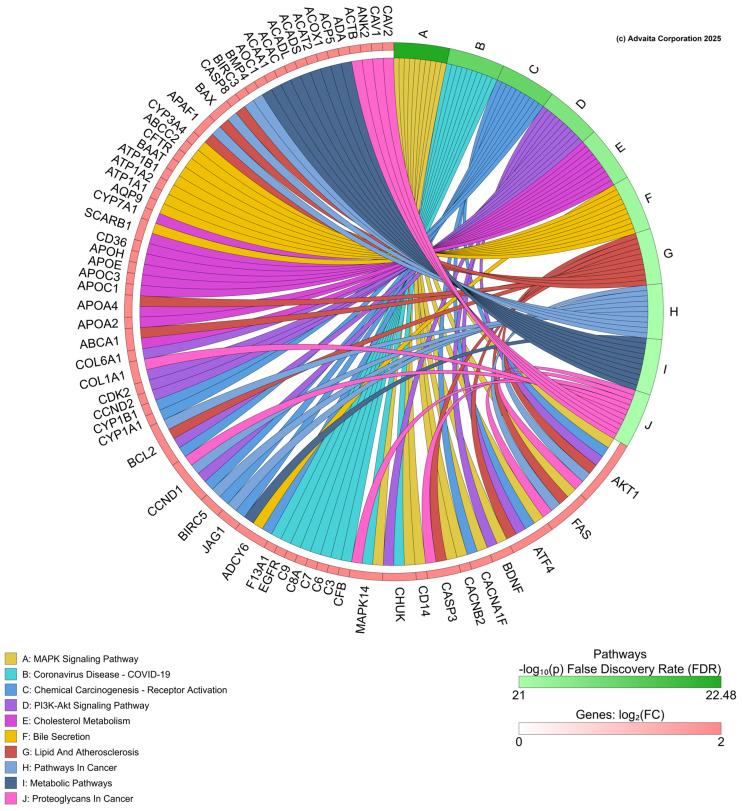 https://cdn.ncbi.nlm.nih.gov/pmc/blobs/686d/12196793/41c0c00fc0d1/toxics-13-00436-g005.jpg