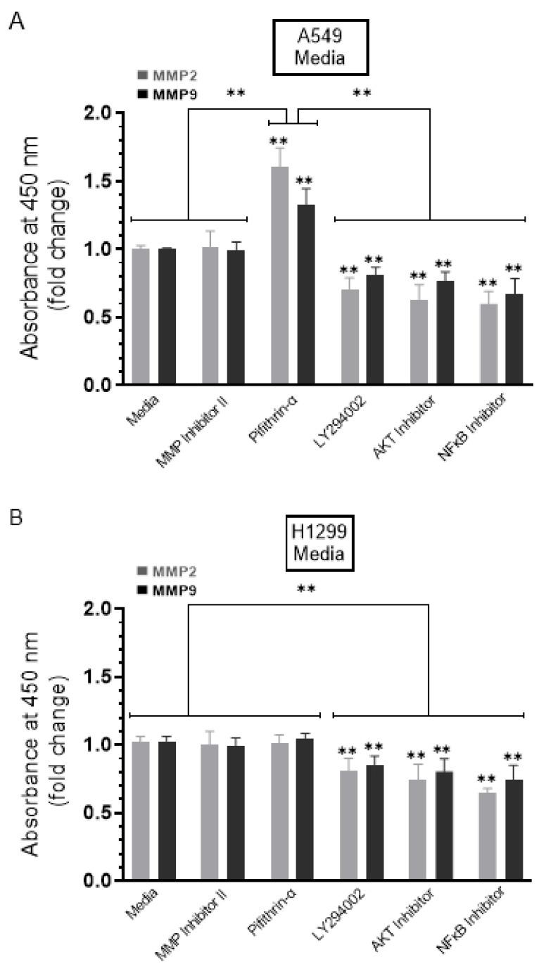 https://cdn.ncbi.nlm.nih.gov/pmc/blobs/686d/8267635/645ac68f7260/ijms-22-07059-g004.jpg