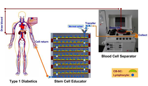 https://cdn.ncbi.nlm.nih.gov/pmc/blobs/686e/3322343/31a664a0522b/1741-7015-10-3-1.jpg