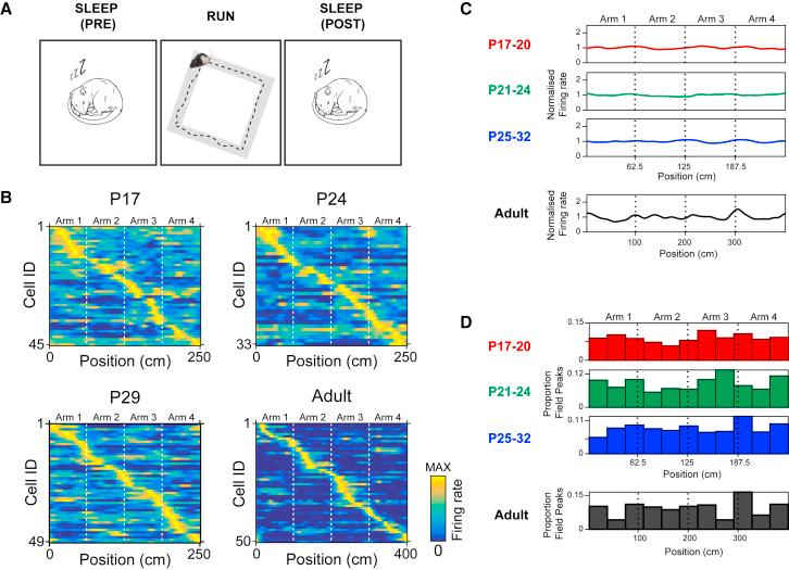 https://cdn.ncbi.nlm.nih.gov/pmc/blobs/686e/6408330/7e87b5607eca/gr2.jpg