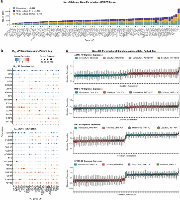 https://cdn.ncbi.nlm.nih.gov/pmc/blobs/686f/11436371/16a84869ed79/41590_2024_1943_Fig17_ESM.jpg
