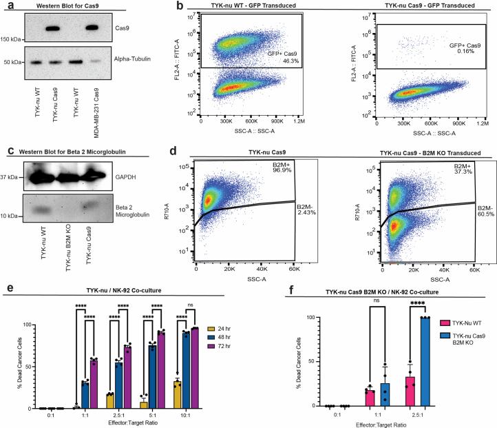 https://cdn.ncbi.nlm.nih.gov/pmc/blobs/686f/11436371/37312a5c1233/41590_2024_1943_Fig16_ESM.jpg