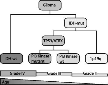 https://cdn.ncbi.nlm.nih.gov/pmc/blobs/686f/4690424/861af9068ba3/40478_2015_265_Fig4_HTML.jpg