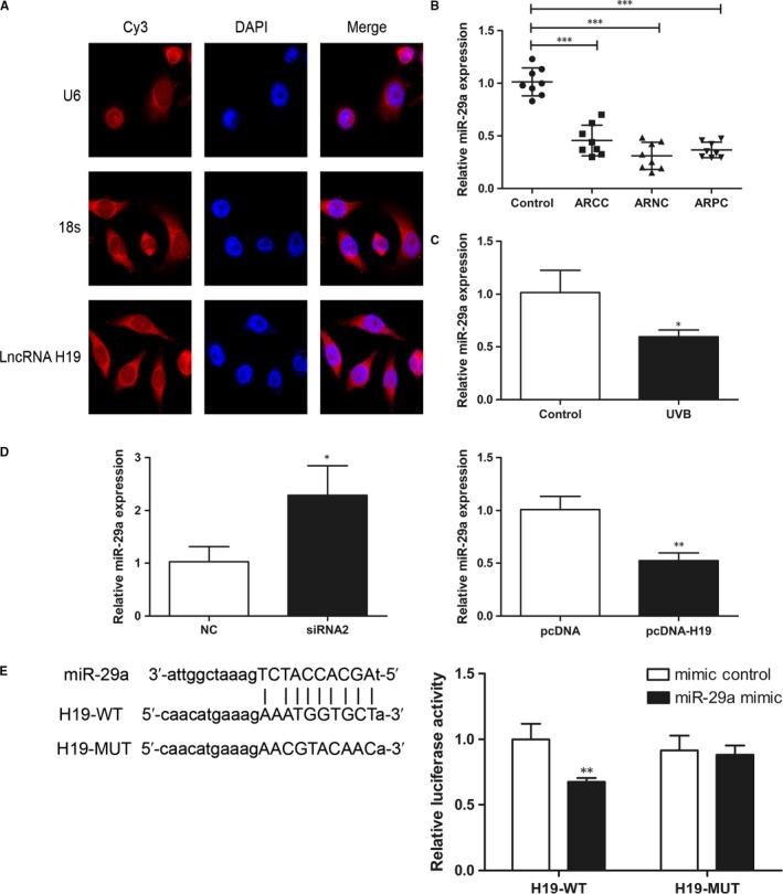 https://cdn.ncbi.nlm.nih.gov/pmc/blobs/686f/6714223/8da11f83eb43/JCMM-23-6131-g003.jpg