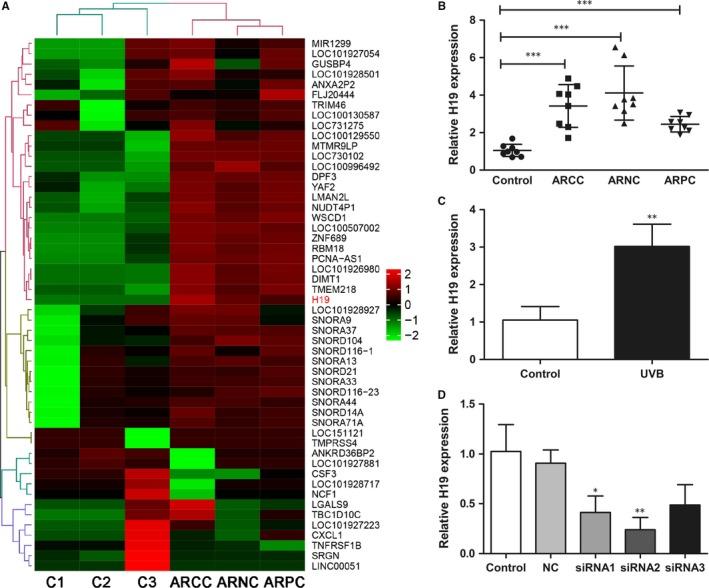 https://cdn.ncbi.nlm.nih.gov/pmc/blobs/686f/6714223/b36c261a9bbe/JCMM-23-6131-g001.jpg