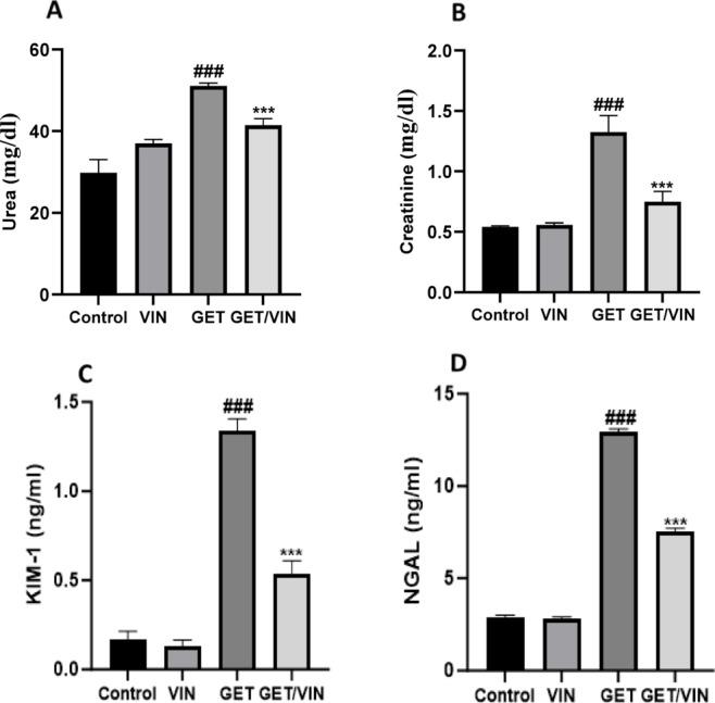 https://cdn.ncbi.nlm.nih.gov/pmc/blobs/6870/12181324/5904c04ff378/41598_2025_6355_Fig2_HTML.jpg