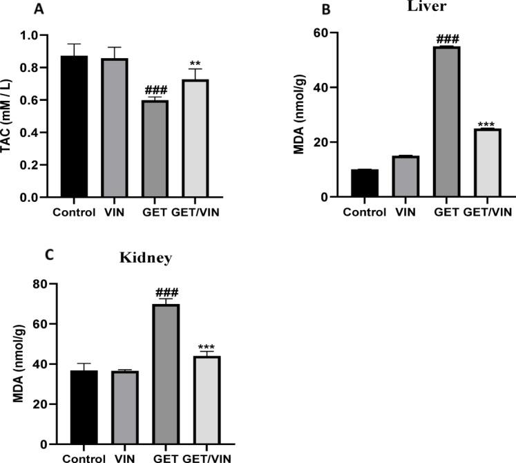 https://cdn.ncbi.nlm.nih.gov/pmc/blobs/6870/12181324/bf4287a43abd/41598_2025_6355_Fig3_HTML.jpg