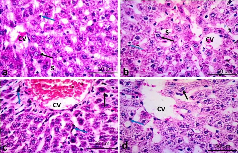 https://cdn.ncbi.nlm.nih.gov/pmc/blobs/6870/12181324/eb8dc41cdb89/41598_2025_6355_Fig8_HTML.jpg