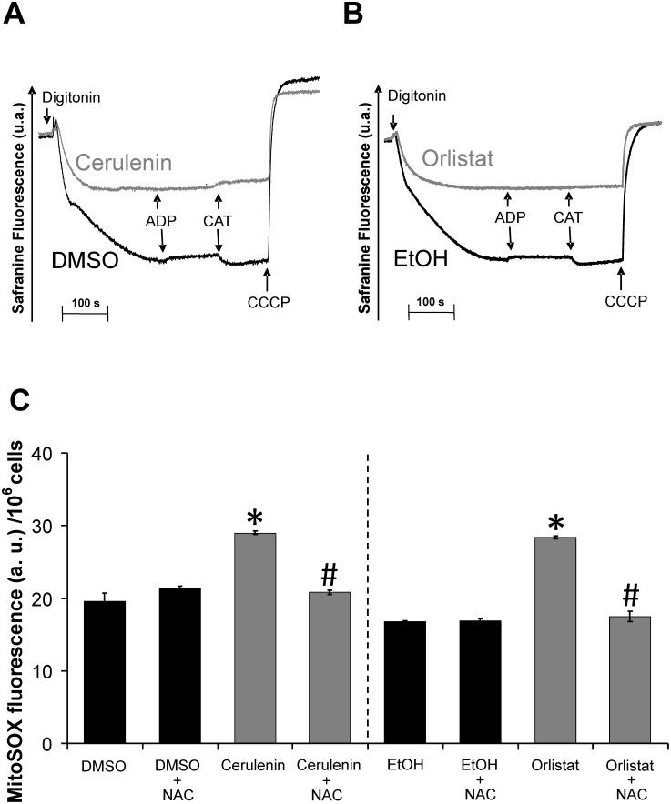 https://cdn.ncbi.nlm.nih.gov/pmc/blobs/6870/4071076/370434e2afb1/pone.0101060.g004.jpg