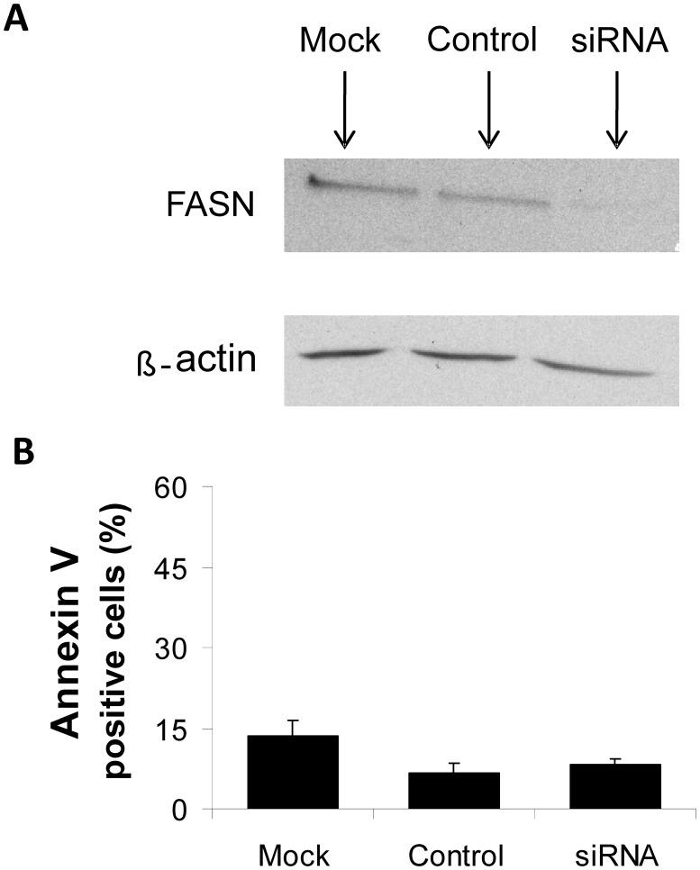 https://cdn.ncbi.nlm.nih.gov/pmc/blobs/6870/4071076/c87e8a418faa/pone.0101060.g007.jpg
