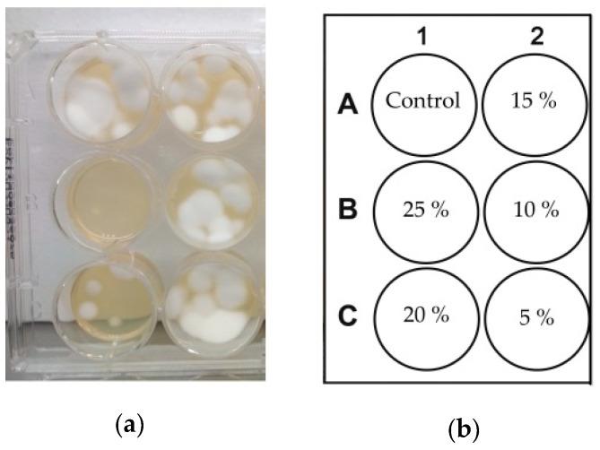 https://cdn.ncbi.nlm.nih.gov/pmc/blobs/6870/7996248/5e3fdfdf7163/pathogens-10-00263-g007.jpg