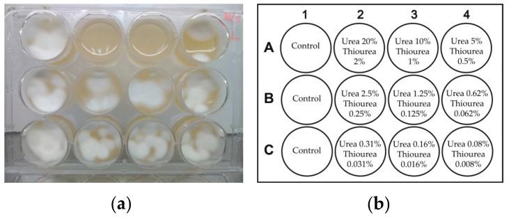 https://cdn.ncbi.nlm.nih.gov/pmc/blobs/6870/7996248/f521bf83d2e1/pathogens-10-00263-g009.jpg