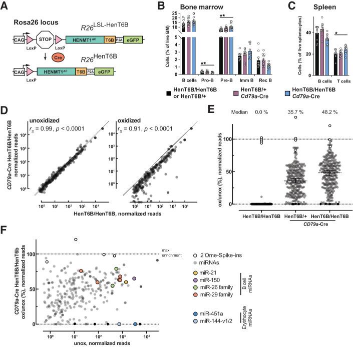 https://cdn.ncbi.nlm.nih.gov/pmc/blobs/6871/11183118/a680e333588b/44318_2024_102_Fig3_HTML.jpg