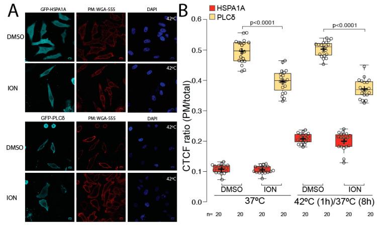 https://cdn.ncbi.nlm.nih.gov/pmc/blobs/6875/9221345/59dd337cb5d4/biomolecules-12-00856-g004.jpg