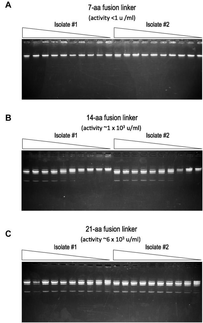 https://cdn.ncbi.nlm.nih.gov/pmc/blobs/6877/6326814/13836a75fdce/gky1059fig7.jpg