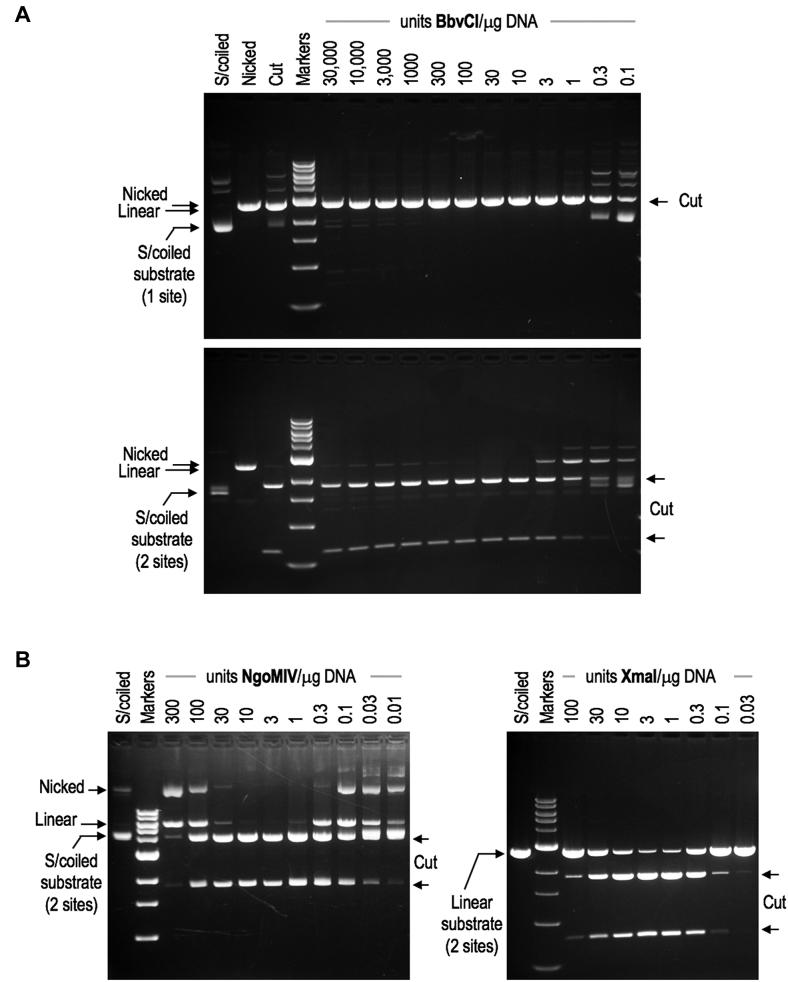 https://cdn.ncbi.nlm.nih.gov/pmc/blobs/6877/6326814/3e806c2e0f73/gky1059fig6.jpg