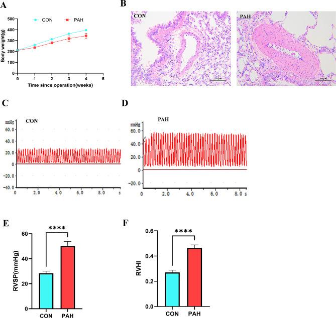 https://cdn.ncbi.nlm.nih.gov/pmc/blobs/6879/11127292/4ce897132059/12931_2024_2849_Fig10_HTML.jpg