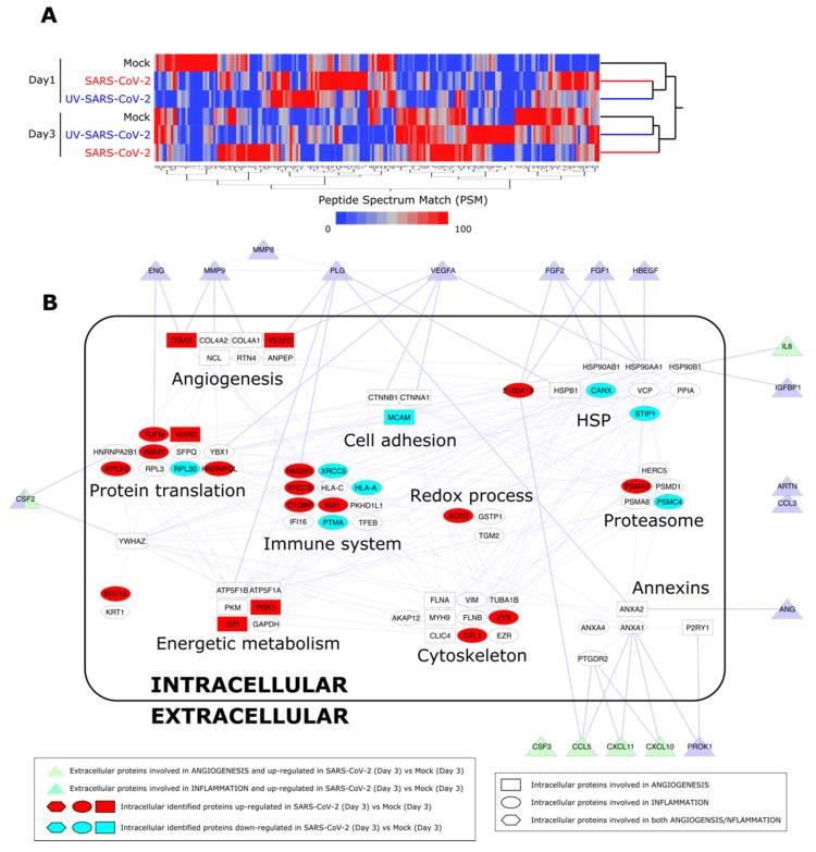 https://cdn.ncbi.nlm.nih.gov/pmc/blobs/6879/8305478/510d2997a2bd/microorganisms-09-01438-g005.jpg