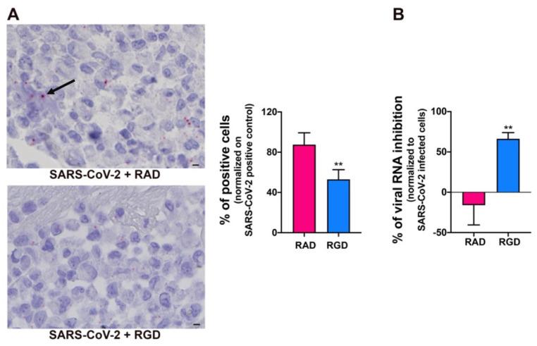 https://cdn.ncbi.nlm.nih.gov/pmc/blobs/6879/8305478/ac188d13044c/microorganisms-09-01438-g006.jpg