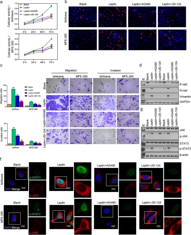 https://cdn.ncbi.nlm.nih.gov/pmc/blobs/687a/10732614/216ce7e45065/KADI_A_2293273_F0005_OC.jpg