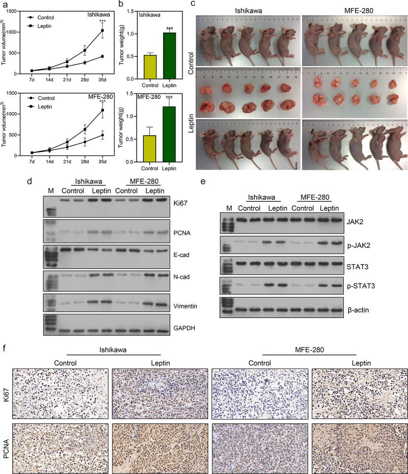 https://cdn.ncbi.nlm.nih.gov/pmc/blobs/687a/10732614/e489b4214a08/KADI_A_2293273_F0006_OC.jpg