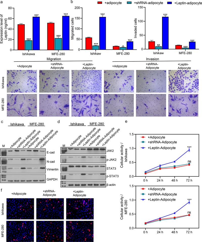 https://cdn.ncbi.nlm.nih.gov/pmc/blobs/687a/10732614/fd2b4ab8994c/KADI_A_2293273_F0003_OC.jpg