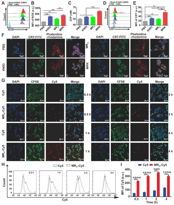 https://cdn.ncbi.nlm.nih.gov/pmc/blobs/687a/7053188/47b81a952b41/thnov10p3049g002.jpg