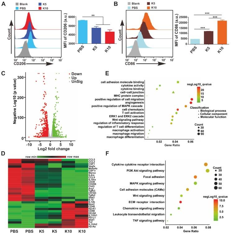 https://cdn.ncbi.nlm.nih.gov/pmc/blobs/687a/7053188/480ff69c859c/thnov10p3049g003.jpg