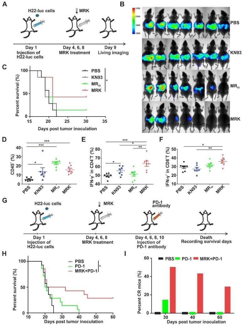 https://cdn.ncbi.nlm.nih.gov/pmc/blobs/687a/7053188/d9cab54a195c/thnov10p3049g006.jpg