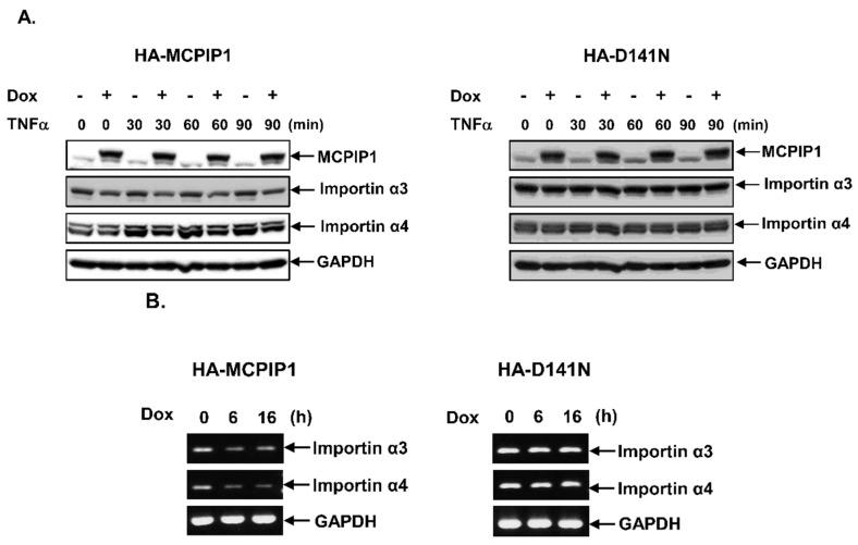 https://cdn.ncbi.nlm.nih.gov/pmc/blobs/687a/8301320/0d96088b21cb/biology-10-00655-g005.jpg