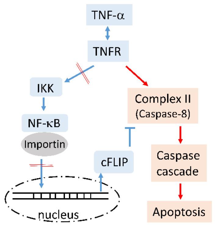 https://cdn.ncbi.nlm.nih.gov/pmc/blobs/687a/8301320/65a40f5ee4df/biology-10-00655-g007.jpg