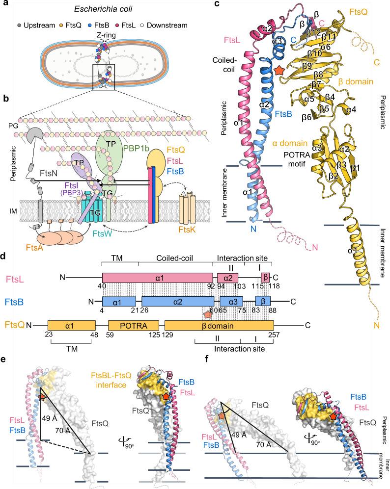 https://cdn.ncbi.nlm.nih.gov/pmc/blobs/687b/10076392/e1b43896a3a5/41467_2023_37543_Fig1_HTML.jpg
