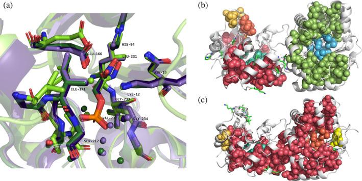 https://cdn.ncbi.nlm.nih.gov/pmc/blobs/687b/11325190/06cbfccaa10f/PRO-33-e5134-g004.jpg