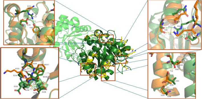 https://cdn.ncbi.nlm.nih.gov/pmc/blobs/687b/11325190/fe5d9c06284c/PRO-33-e5134-g001.jpg