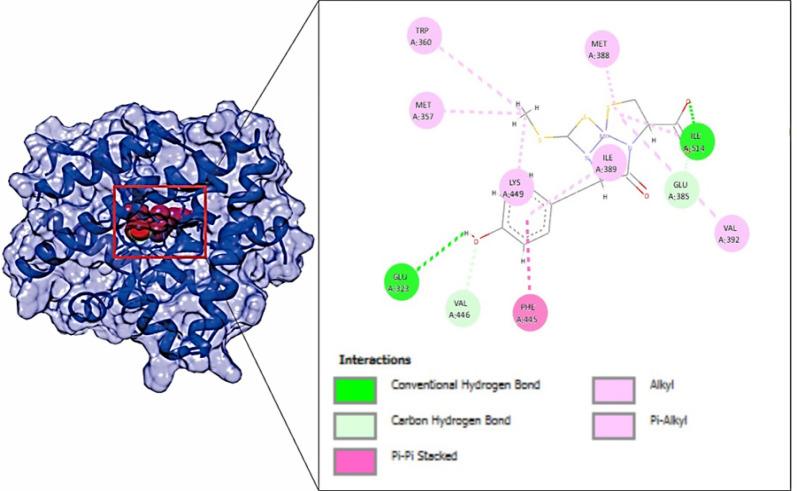 https://cdn.ncbi.nlm.nih.gov/pmc/blobs/687b/11700321/0cf9a92ece54/APJCP-25-3251-g002.jpg