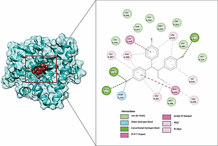 https://cdn.ncbi.nlm.nih.gov/pmc/blobs/687b/11700321/93545967c7f1/APJCP-25-3251-g001.jpg