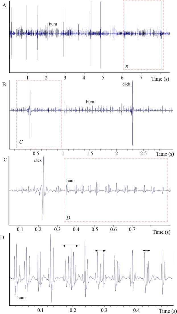 https://cdn.ncbi.nlm.nih.gov/pmc/blobs/687f/6428821/17e1b095bc99/41598_2019_41198_Fig5_HTML.jpg