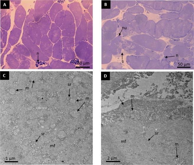 https://cdn.ncbi.nlm.nih.gov/pmc/blobs/687f/6428821/6561b9e657d8/41598_2019_41198_Fig3_HTML.jpg