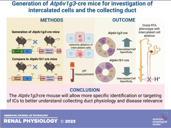 https://cdn.ncbi.nlm.nih.gov/pmc/blobs/6882/10881235/81c26d4bc109/f-00137-2023r01.jpg